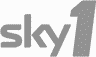 sky1 Logo